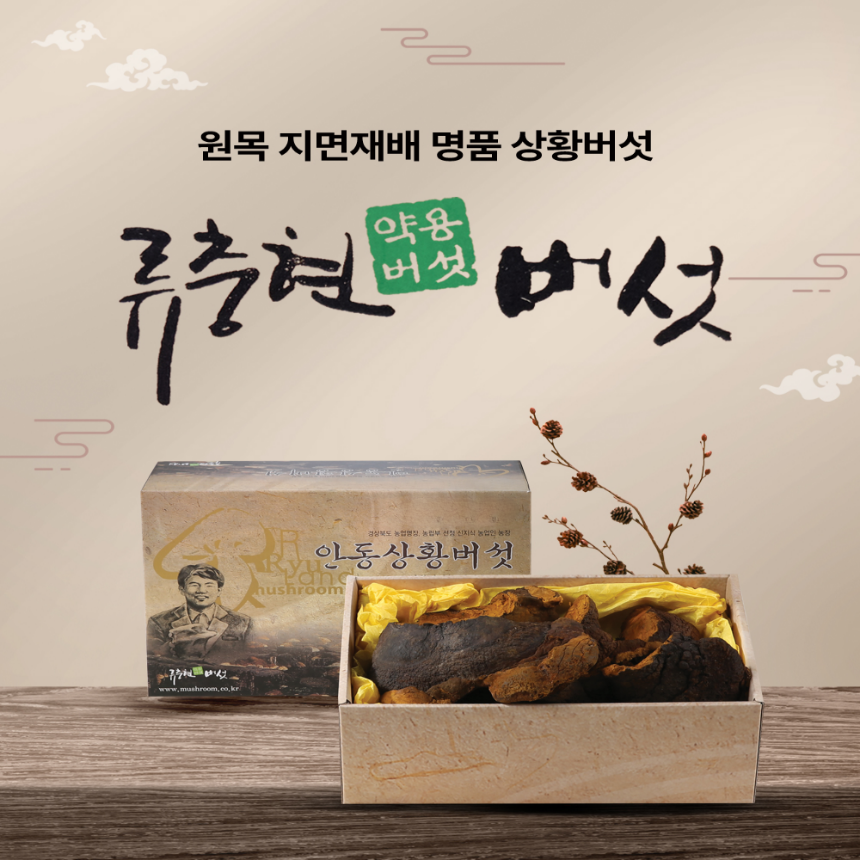 상황버섯(최상품) 1kg