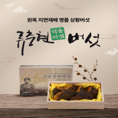 상황버섯(최상품) 300g