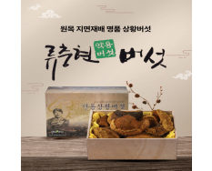 상황버섯(상품) 1kg