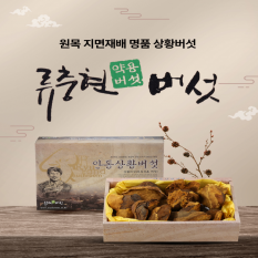 상황버섯(상품) 300g