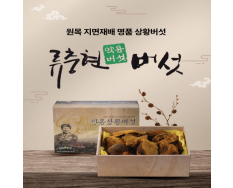 상황버섯(중품) 500g