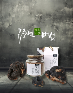 차가버섯균사체